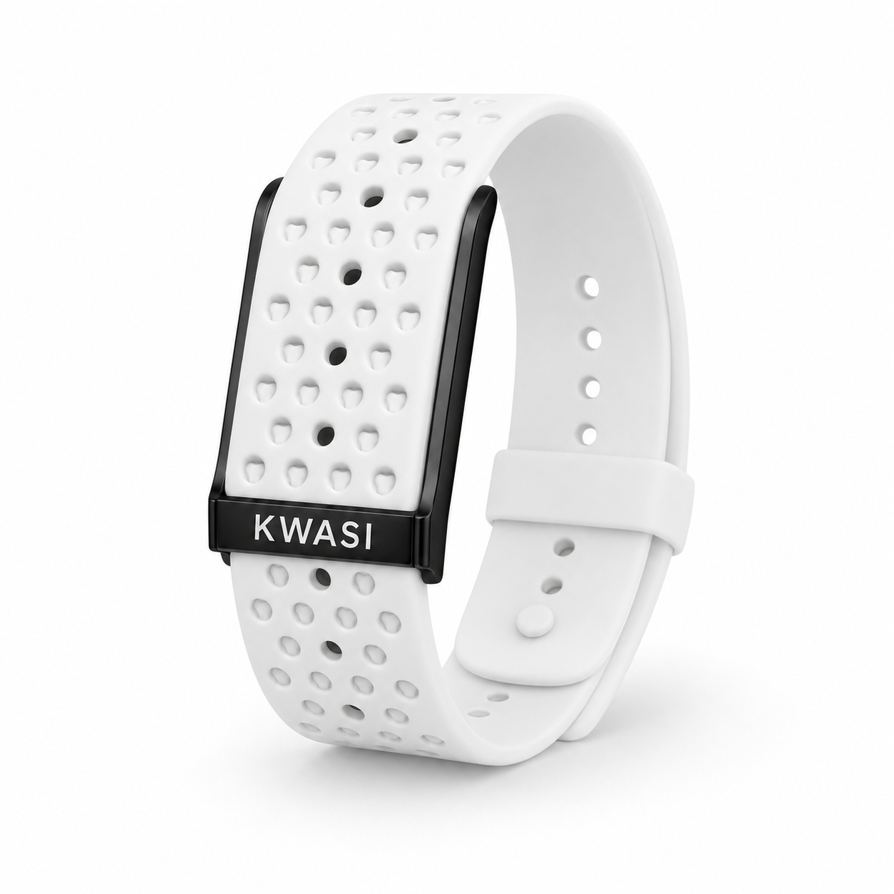 Polar Edition